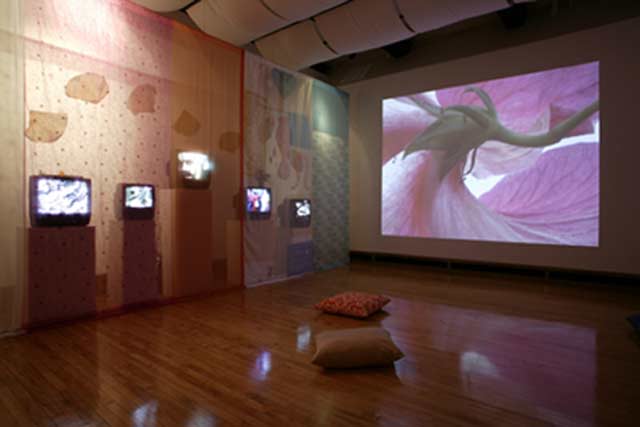 Installation view of Nonstop India