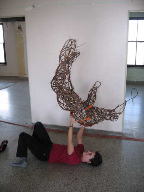 Root Orbit in process